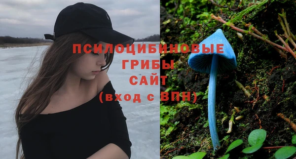apvp Балахна