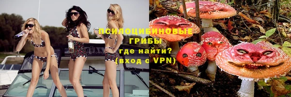 гашик Белокуриха