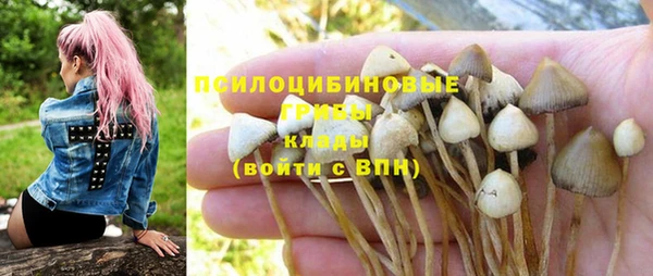 apvp Балахна