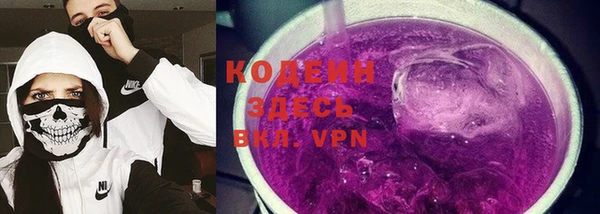 гашик Белокуриха